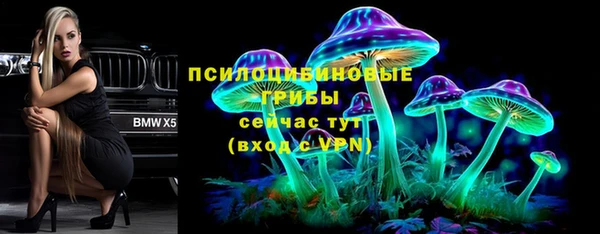 индика Козельск