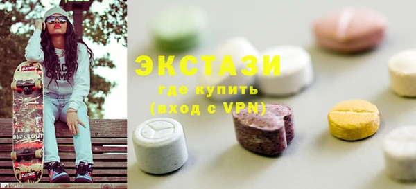 индика Козельск