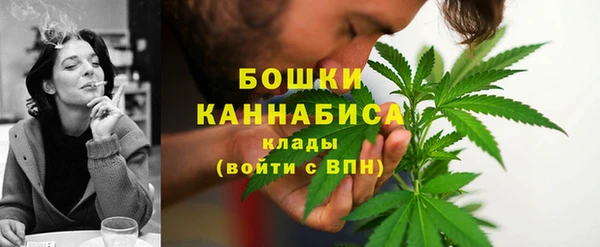 крисы Кодинск