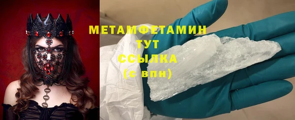 индика Козельск
