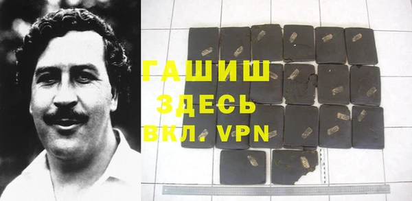 индика Козельск