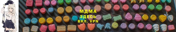 индика Козельск