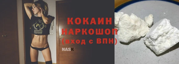 индика Козельск