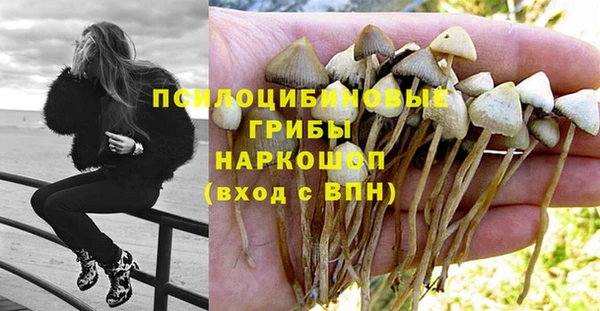 мяу мяу кристалл Коряжма