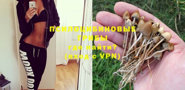 мескалин Великий Новгород