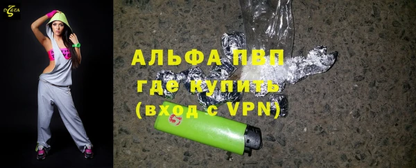 индика Козельск