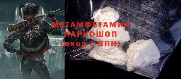 индика Козельск