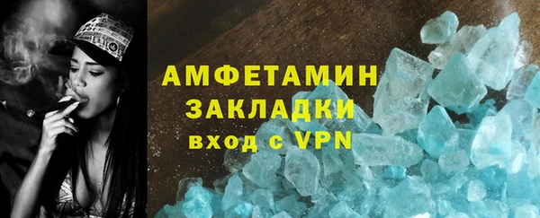 индика Козельск