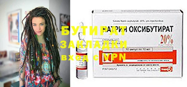 индика Козельск