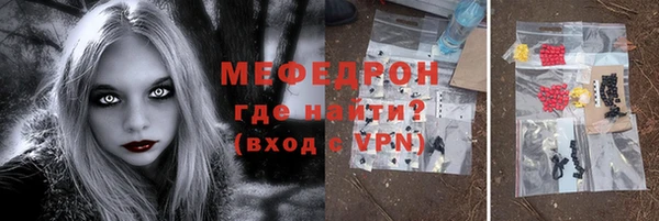 индика Козельск