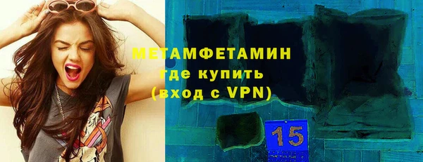 индика Козельск