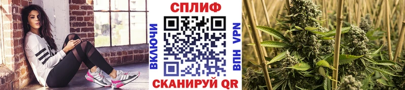 Бошки Шишки семена Пестово